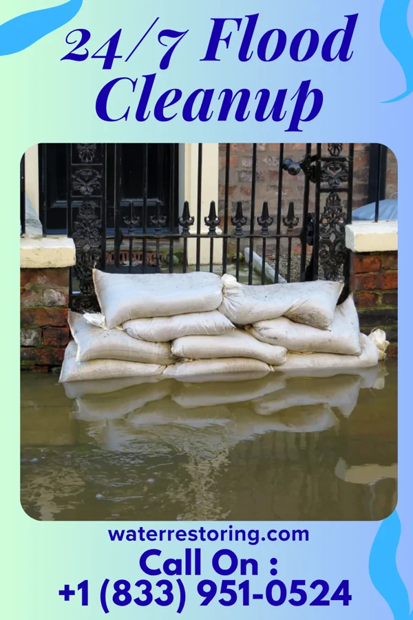 24/7 Flood Cleanup in Williamston, NC