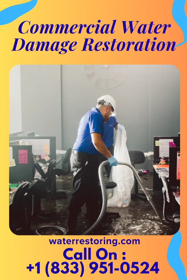Commercial Water Damage Restoration in Williamston, NC