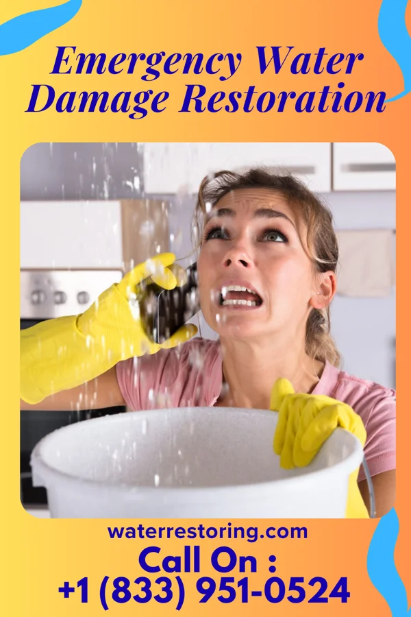 Emergency Water Damage Restoration in Williamston, NC