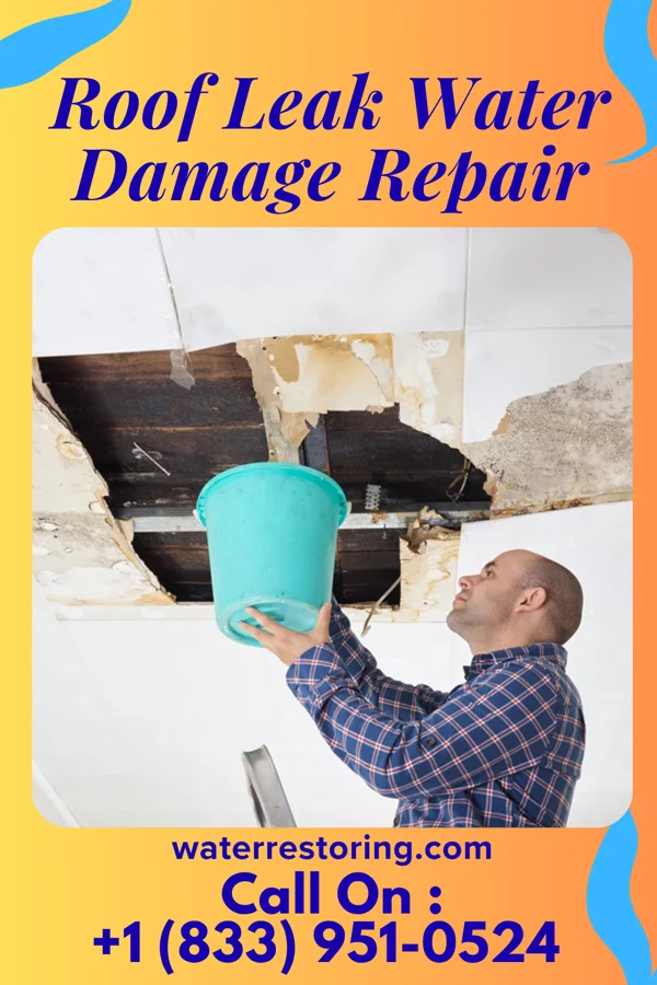 Roof Leak Water Damage Repair in Williamston, NC