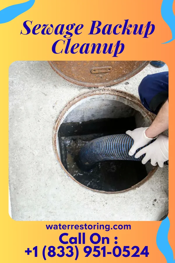 Sewage Backup Cleanup in Williamston, NC